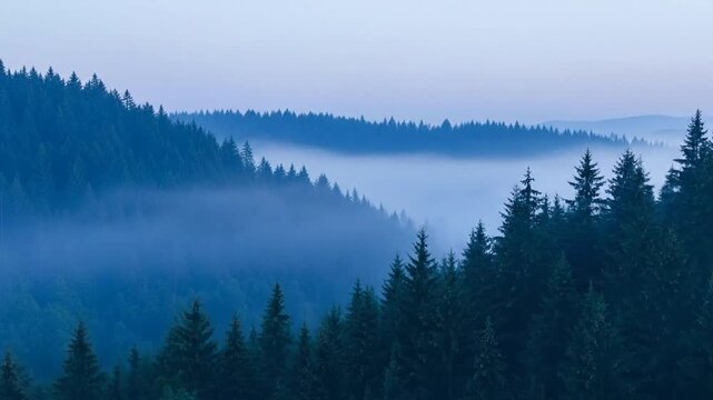 Misty Mountain Majesty - A Serene Forest Landscape at Dawn.