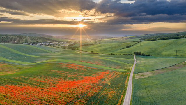 Scenic sunrise over rolling hills of South Moravia with a vibrant wild poppy field