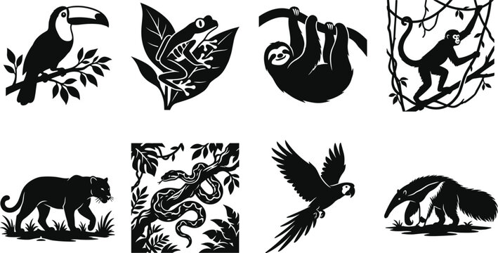 Tropical Rainforest Wildlife Silhouette Collection Featuring Jungle Animals Birds Reptiles and Exotic Nature Elements