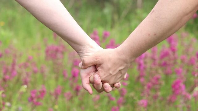 Couple holding hands on a background of pink flowers. Concept of love, support and romantic relationships. Close-up of hands of a man and a woman intertwining fingers in the middle of a summer field