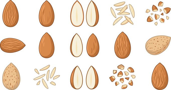 Almond Nut Vector Icon Set with Whole, Half, Shelled, Sliced, and Crushed Pieces for Food Product Packaging Designs