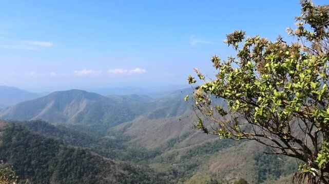 The panoramic hilly landscape of Parunthumpara, a tourist destination in Idukki, Kerala, India