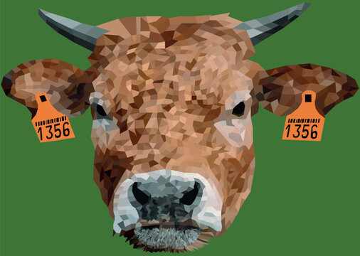 Printvector, illustration, art, cow, branding, logo, creative, digitalart, texas, bullhead, cowboy, cowskull, wildwest, streetwear, streetstyle, minimalism, red, orange, modernart, minimalart, green,
