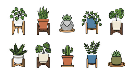 Assorted houseplants in stylish wooden stands and pots. © gacor