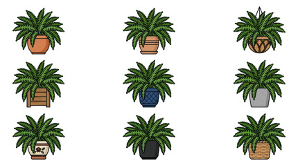 Hanging and potted fern houseplant icons © gacor