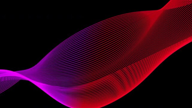 Abstract 4K loopable animation of neon magenta, purple, and red flowing wave lines forming a dynamic spectrum or frequency wave on a black background. Minimalist and modern backdrop.