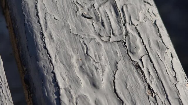 Macro pan across a wooden plank surface showing extreme details of cracked and peeling grey paint. The rough weathered texture highlights the aging process and structural decay.