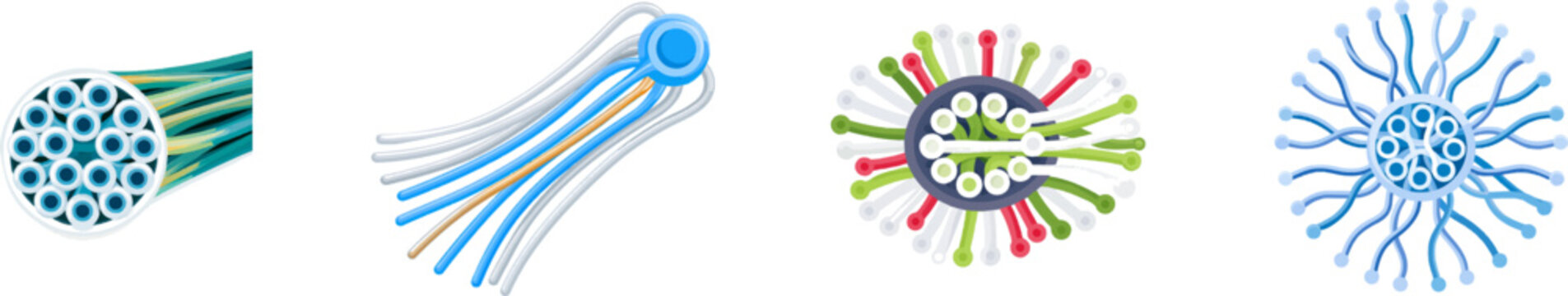 A clean educational flat vector diagram illustrates the eukaryotic flagellum cross-section with a clear 9+2 arrangement of internal microtubules against a solid white background