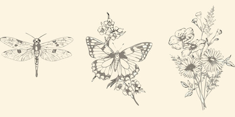 Dragonfly butterfly and wildflowers botanical sketch illustration on beige background © Rathin