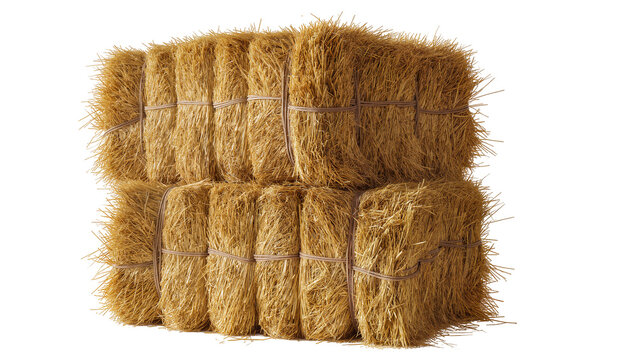 Stacked rectangular hay bales tied with twine, isolated on transparent background