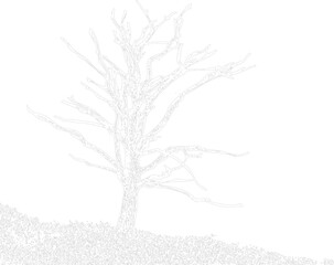 Fototapeta premium Outline of a bare, leafless tree with intricate branches on a white background