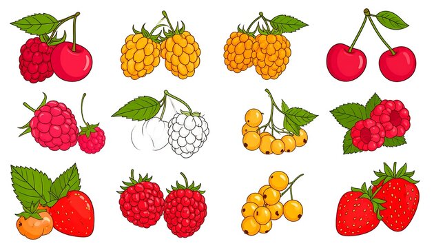 Colorful Berry and Cherry Illustrations Arranged on Light Gray Background