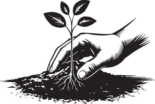 hand planting a small seedling in the soil for growth and development