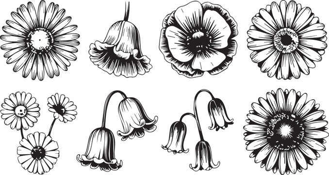 set of hand drawn flowers and buds