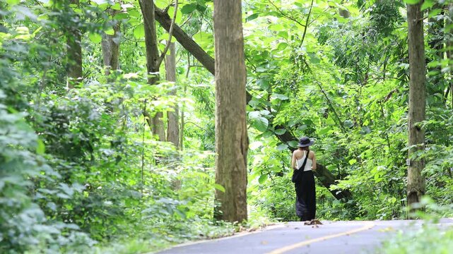 The video background features a natural landscape of a waterfall in a lush forest. Sam Lan Waterfall in Saraburi National Park boasts beautiful flowing water surrounded by diverse flora.