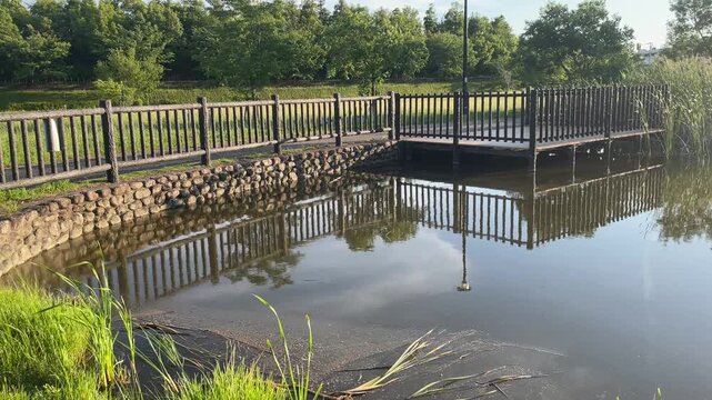 自然公園の池に設置された木製のウッドデッキと美しい水面の映り込み