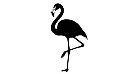Obraz premium Black Silhouette of a Flamingo Standing on One Leg Isolated on White Background