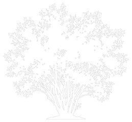 Obraz premium Minimalist tree line art vector, elegant botanical outline with delicate leaves and branches, white nature silhouette for clean graphic design
