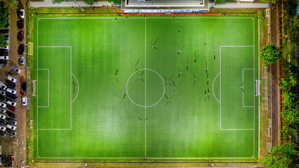 Aerial top-down view of players on a green soccer field at night illuminated by stadium floodlights © Illustor Pro