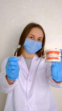 A dentist shows a model of a jaw. Selective focus.