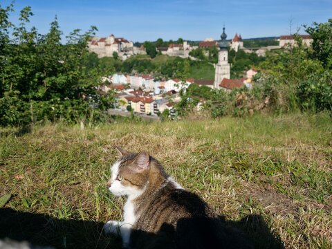 Burghausen Panorama Burg und Altstadt, Bayern, Deutschland