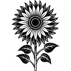 Fototapeta premium Black and white sunflower with a sturdy stalk and leaves