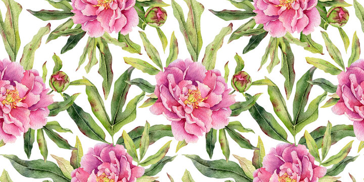 Pink peony flowers, buds and leaves watercolor seamless pattern. Hand drawn sprint print of garden blossom pion plant. Floral botanical background for wedding, textile, fabric, wrapping paper