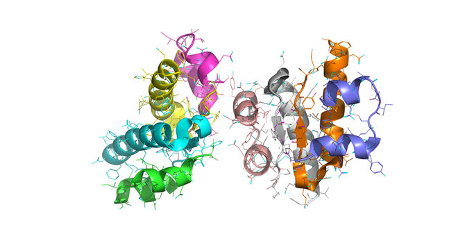 Insulin Detemir, long-acting basal insulin analog with fatty acid modification, 3D molecule 4K