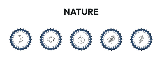 nature outline icon set. falcate, season, cercis leaf, plum leaf and more. linear vector collection. editable stroke © Design_Farm