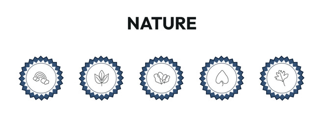nature outline icon set. rainbow behind a cloud, sassafras leaf, philodendron, hawthorn leaf and more. linear vector collection. editable stroke © Design_Farm