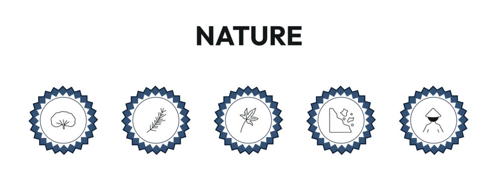 nature outline icon set. reniform, pine needle, liquidambar leaf, asian and more. linear vector collection. editable stroke