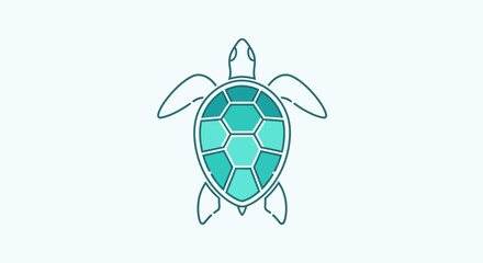 Turquoise turtle shell with flippers. © agus