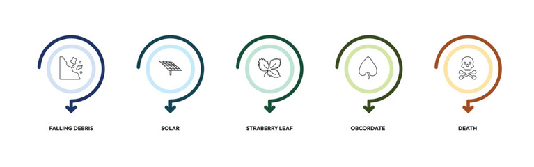 nature outline icon set. falling debris, solar, straberry leaf, death and more. linear vector collection. editable stroke © Design_Farm