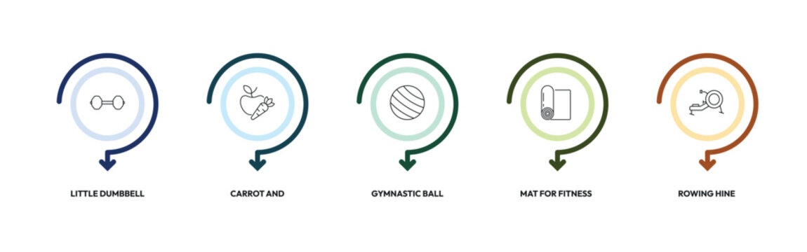 gym outline icon set. little dumbbell, carrot and, gymnastic ball, rowing hine and more. linear vector collection. editable stroke