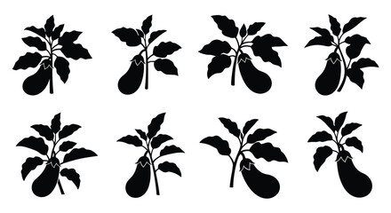 Eggplant leaf Silhouettes Black Vector Illustration Set On White Background © Sonia512
