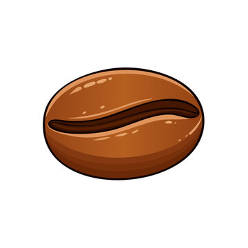 Close-up of a single glossy brown roasted coffee bean with a clear central split
