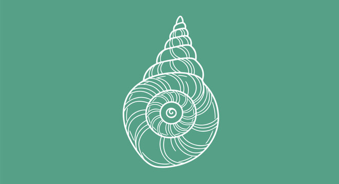 Detailed white line drawing of a spiral snail shell on a solid green background shows the natural beauty of organic patterns.