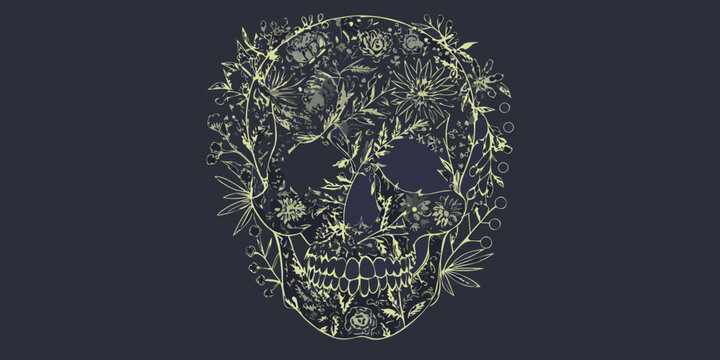 Botanical skull illustration with floral details and dark background