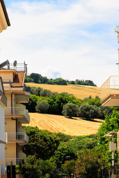 Residential street opening toward rolling farmland and olive groves on surrounding hills, Italy, Pineto, 29 May 2026