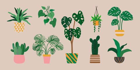 Collection Of Houseplants A Flat Vector Illustration With Colorful Pots © Ganesh