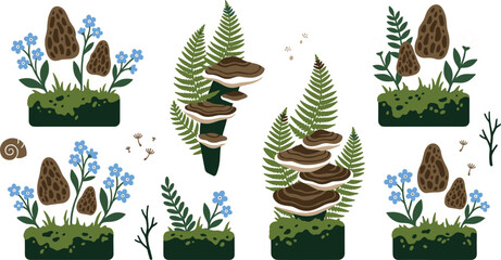 Forest mushroom and fern vector set with brown morel bracket fungi green moss blue flowers and botanical elementsForest mushroom and fern vector set with brown  © MdAmzad