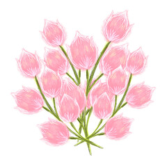 Fototapeta premium bouquet of pink tulip