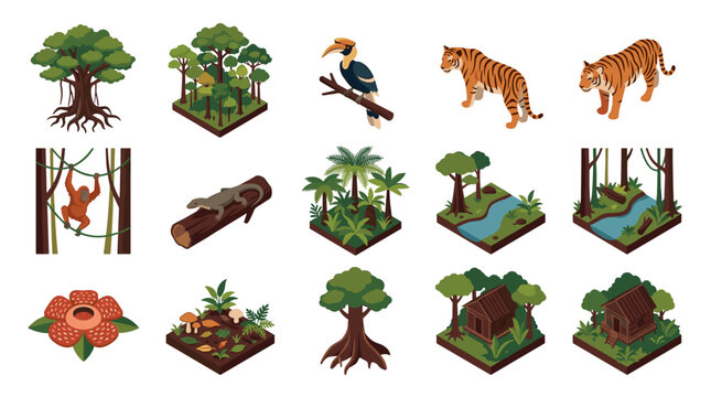 Jungle Ecosystem Elements and Wildlife Collection.