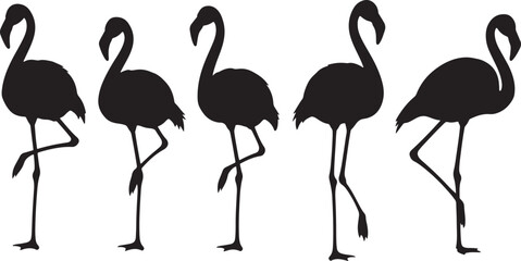 Obraz premium Flamingo silhouette set showing elegant pink birds standing in various poses for nature and wildlife graphics.
