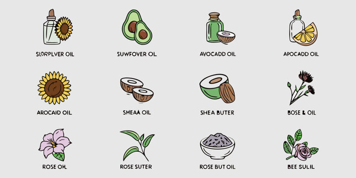 Floral And Fruit Oil Illustrations Hand drawn Vector Style
