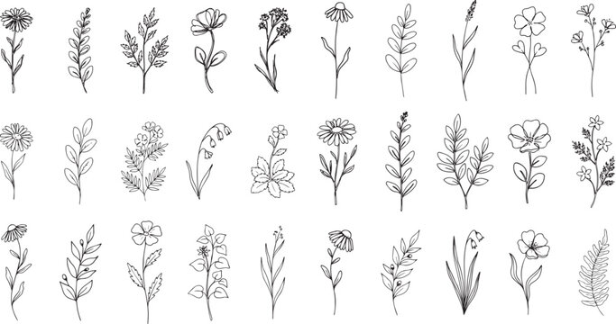 minimal botanical graphic sketch drawing, trendy tiny tattoo design, floral elements vector illustration
