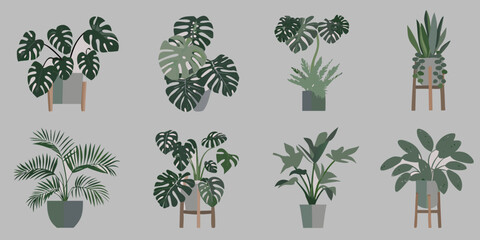 Potted indoor plants eight distinct vector illustrations on a gray background © Dipu