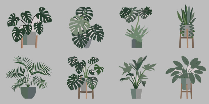Potted indoor plants eight distinct vector illustrations on a gray background