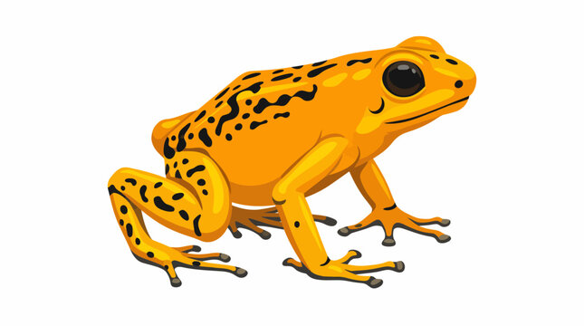 Poison Dart Frog Amphibian Species Closeup.
