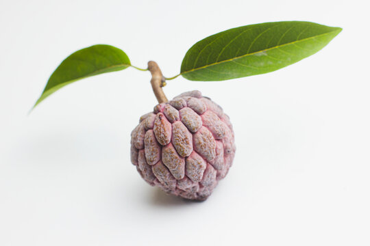 Whole fresh sugar apple or custard apple fruit with leaves isolated on white background